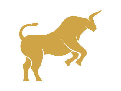 Toro bull business consulting creative finance toro wealth wealth management