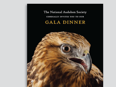 National Audubon Invitation bird invitation print