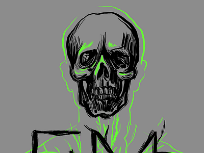 Elms Skull anatomy bnbcintiq bones featured friend illustration skeleton skull