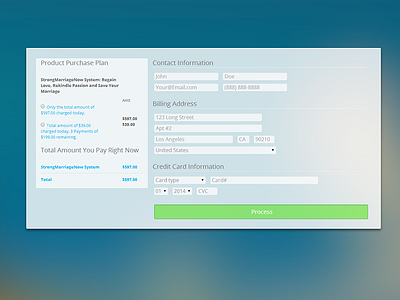 A Form checkout form payment form