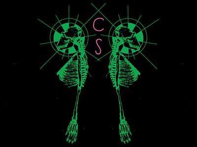 CS Illustration