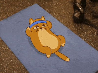 Teodor abs animation cartoon cat fitness gif gym sport video