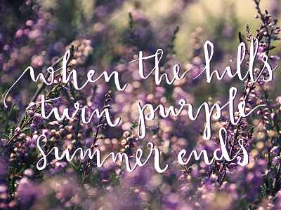 When the hills turn purple calligraphy handlettering heather lettering nature photography purple typography