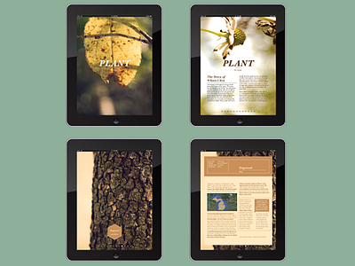 Plant Michigan iPad app app application interactive ipad plant plant identification plants ui user experience ux