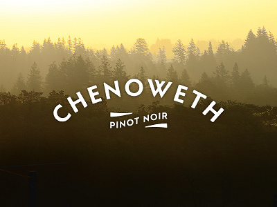 Chenoweth 2014 Fall Launch ecommerce pinot noir sunrise trees website wine