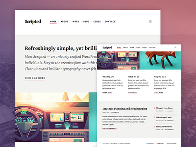 Scripted WordPress Theme blog blogging clean content mighty minimal photography portfolio theme type typography wordpress