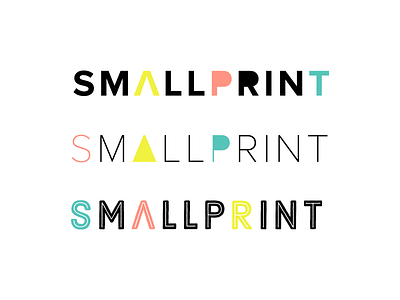 Logo type Concepts branding colour geometric logo modern type