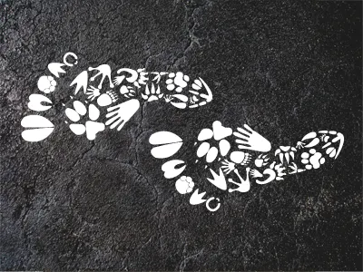 Animals Footprints animals footprint footprints illustration