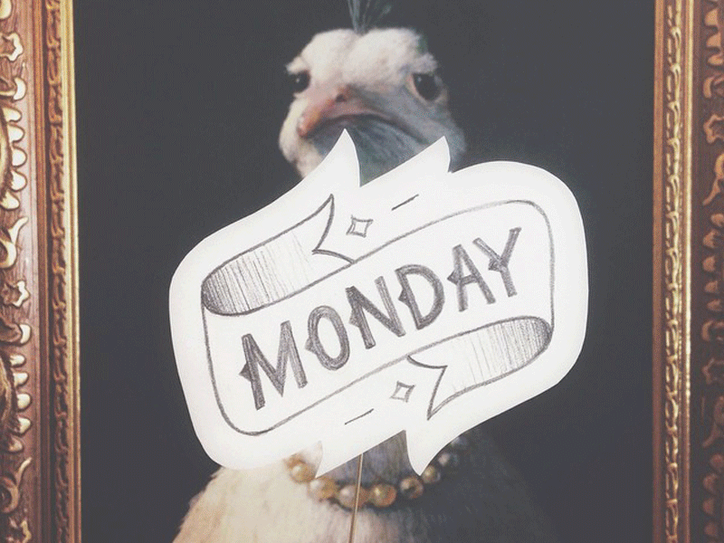 The Mundane flourish hand lettering instagram kcmo letter lettering script tmoneydesign type typography