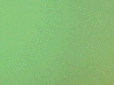 walking test bernetich erika