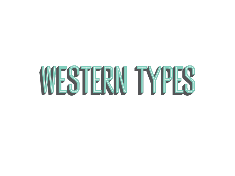 Western Types lettering logo typography western