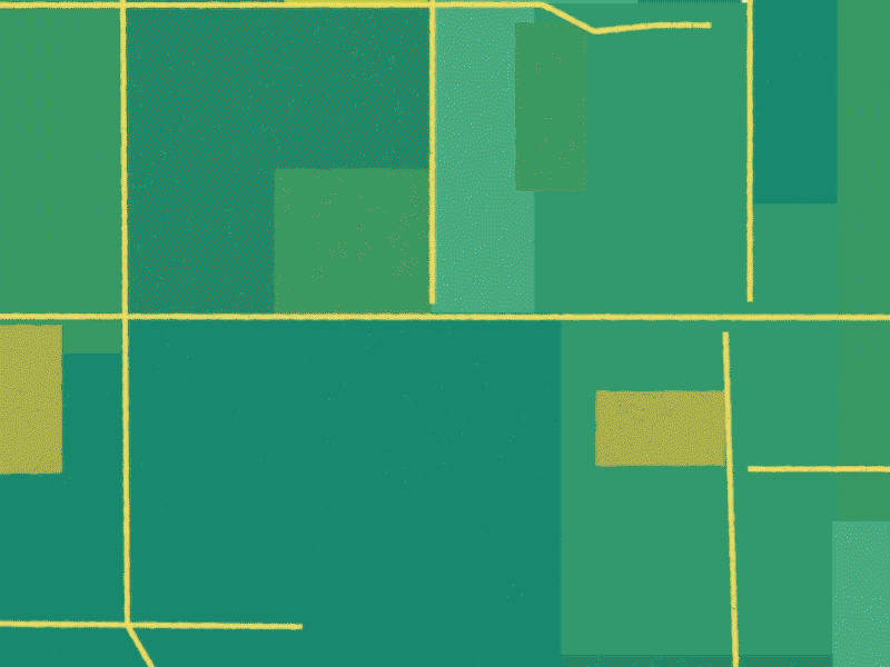 What are you eating? 2d after effects animation gif illustration motion graphics