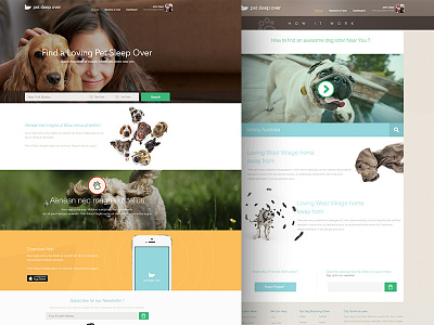 Dog Sleep app color dog find icon icons logo profil search travel user