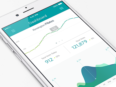 Dashboard chart chart dashboard data graph iphone6 ui