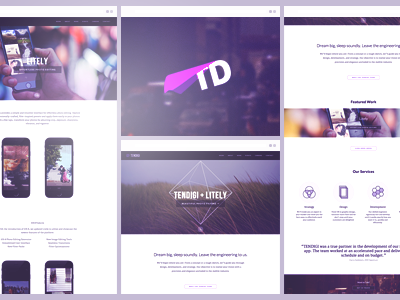 TENDIGI Rebrand and Redesign ios development mobile development rebrand redesign tendigi