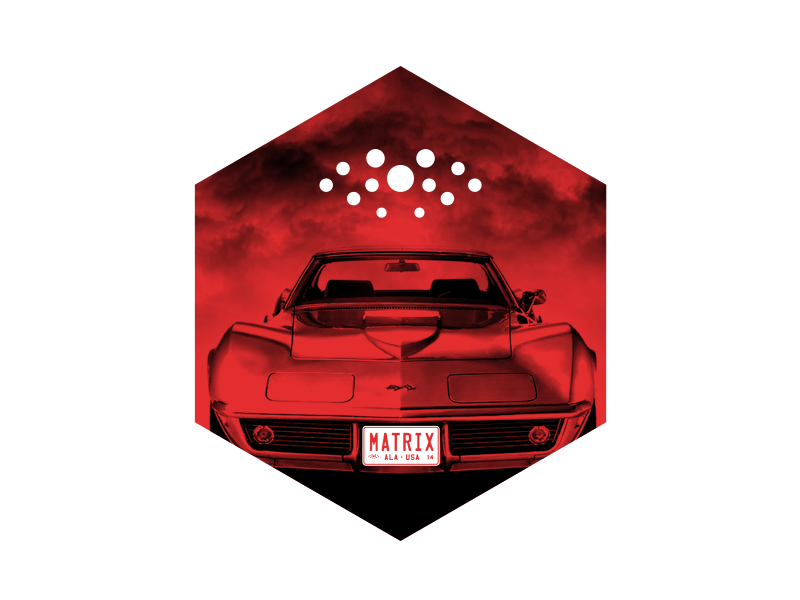 MM Hex Piece alabama birmingham matrix musclecars print