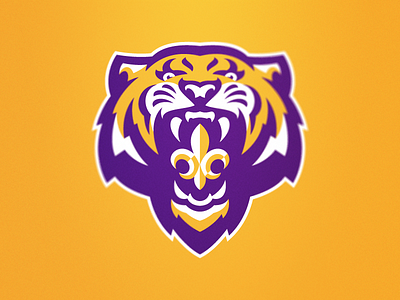 Bayou Bengals football louisiana lsu sec state university usa today