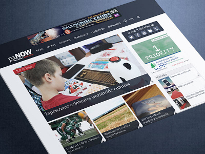 paNOW redesign redesign rwd web design