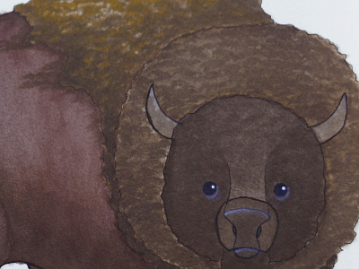 B for Buffalo