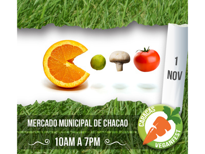 Veganfest Caracas 2014 Promo eating event flyer market promo vegan veganfest vegetarian