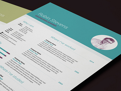 My Resume V2 curriculum vitae cv design employment job portfolio professional resume template