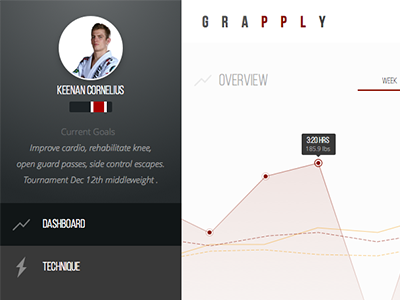 BJJ Training Journal bjj brazilian jiujitsu dashboard data visualization dataviz metrics profile sports