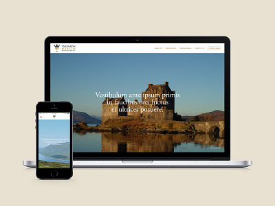 Thomson Wealth WIP big images financial responsive scotland website