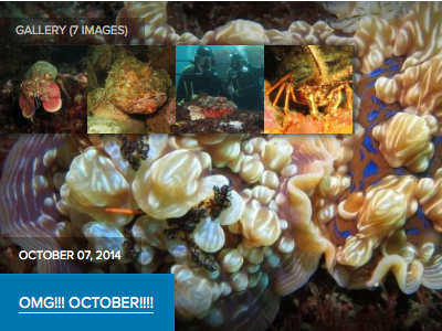 Teaser panel for blog posts which are image galleries gallery teaser