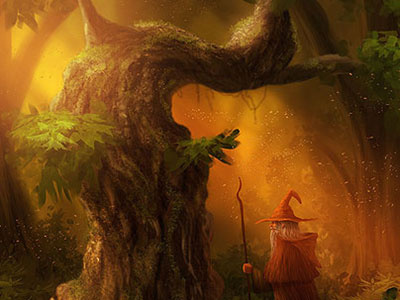 Wizard fairy fantasy forest wizard