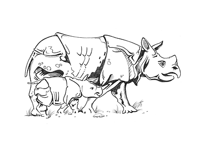 Pencil Drawing — Rhinos drawings graphics illustration pencil