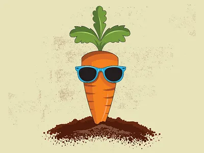 Carrot Illustration carrot