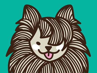 hidden dog animal dog hair hairdresser pet salon