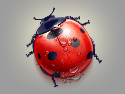 Ladybird drop icon ladybird red water