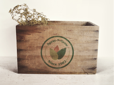 logo design on wooden box branding logo vintage