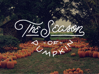 The Season Of Pumpkin grunge halloween handlettering lettering script typography vintage