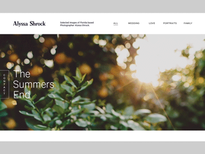 Alyssa Shrock after effects animation brand design gif identity layout motion photography ui ux website