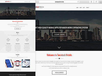 Tomatech branding code flat light marketing responsive ui ux website