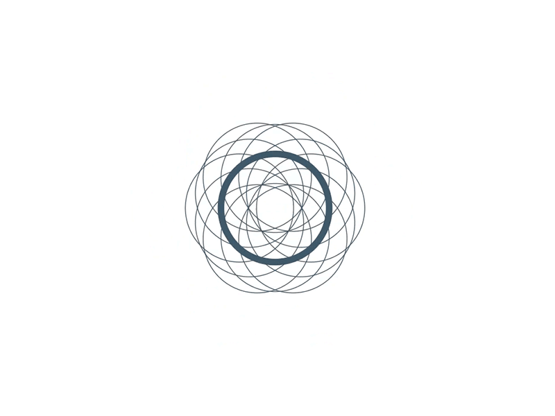 Logo animation Scholengroep Carmel Hengelo after effects animation branding circle circle of life motion motion graphics