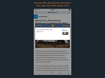 ShortTail's iOS Extension app ios iphone shorttail ui yourls