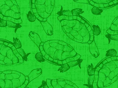 turtle pattern paper pattern scrapbook turtle