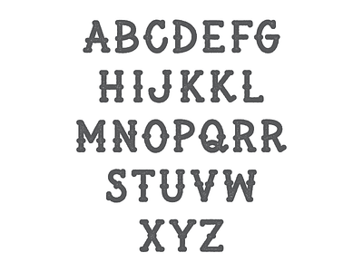Letters cursive design font hand lettering lettering photography script smoke signal dsgn texture type typography