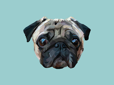 PUG animal colourful cute portrait pug vector