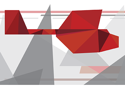 Poly Plane illustration plan polygon