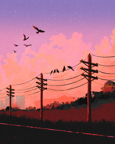 Birds on a wire birds drawing illustration illustrations procreate