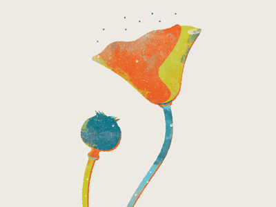 Poppy