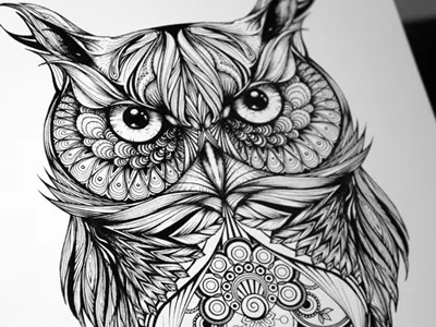 Gregor The Owl birds detail drawing eyes feathers illustration intricate nature owl paper pen