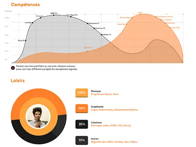 CV Part 2 bretagne cv didier francais graphiste identity laureaux logo
