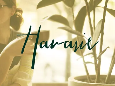 Havarie logo type typography