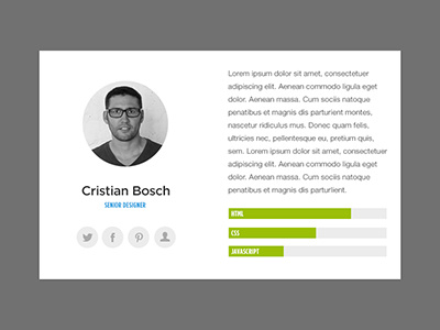 Profile widget bio job description member profile role skills social media team widget