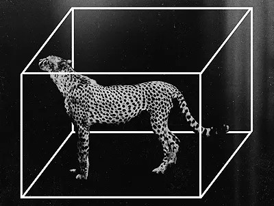 CN015 abstract art collage floral paper texture